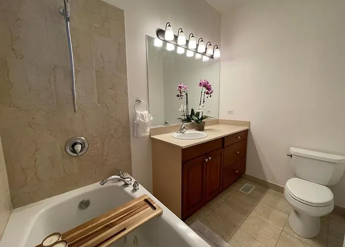 Apartment Amazing 3br 3 Ba In Chicago