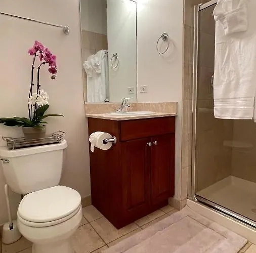 Amazing 3br 3 Ba In * Chicago